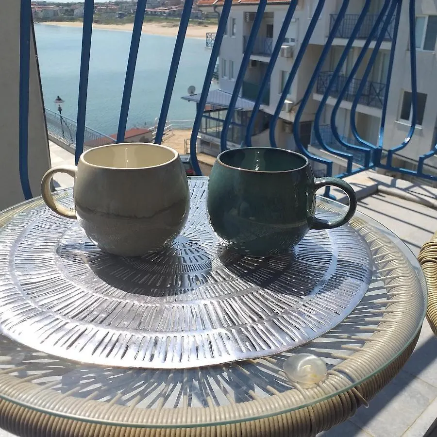 Z&Z Apartment سوزوبول