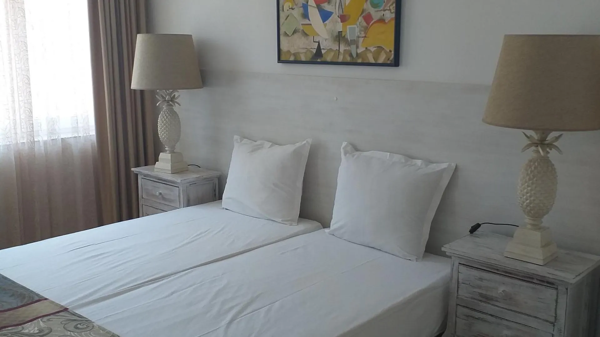 Z&Z Apartment سوزوبول